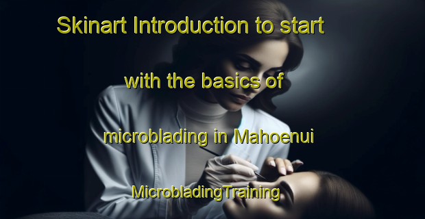 Skinart Introduction to start with the basics of microblading in Mahoenui | MicrobladingTraining | MicrobladingClasses | SkinartTraining-New Zealand