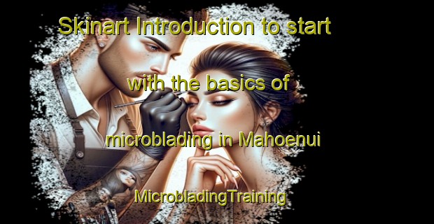 Skinart Introduction to start with the basics of microblading in Mahoenui | MicrobladingTraining | MicrobladingClasses | SkinartTraining-New Zealand