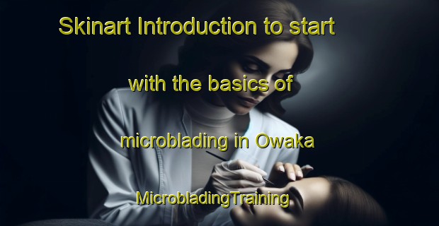 Skinart Introduction to start with the basics of microblading in Owaka | MicrobladingTraining | MicrobladingClasses | SkinartTraining-New Zealand