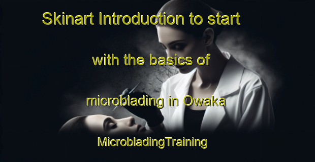 Skinart Introduction to start with the basics of microblading in Owaka | MicrobladingTraining | MicrobladingClasses | SkinartTraining-New Zealand