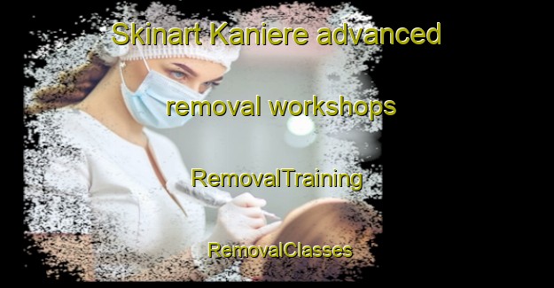 Skinart Kaniere advanced removal workshops | RemovalTraining | RemovalClasses | SkinartTraining-New Zealand