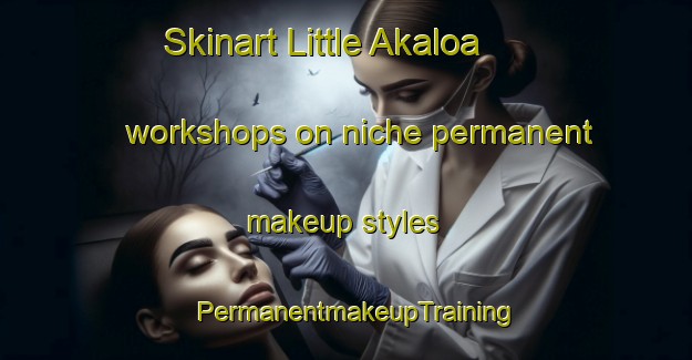 Skinart Little Akaloa workshops on niche permanent makeup styles | PermanentmakeupTraining | PermanentmakeupClasses | SkinartTraining-New Zealand