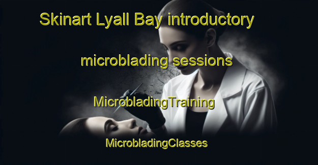 Skinart Lyall Bay introductory microblading sessions | MicrobladingTraining | MicrobladingClasses | SkinartTraining-New Zealand