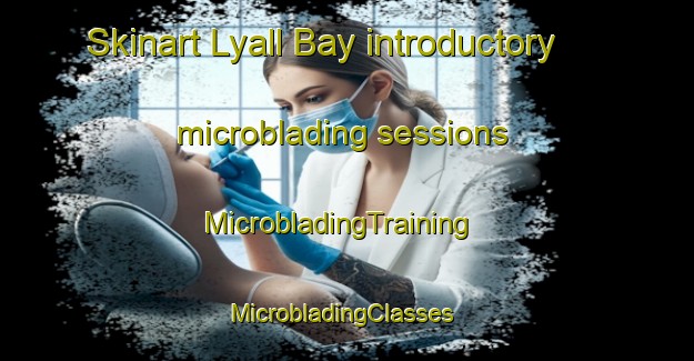 Skinart Lyall Bay introductory microblading sessions | MicrobladingTraining | MicrobladingClasses | SkinartTraining-New Zealand