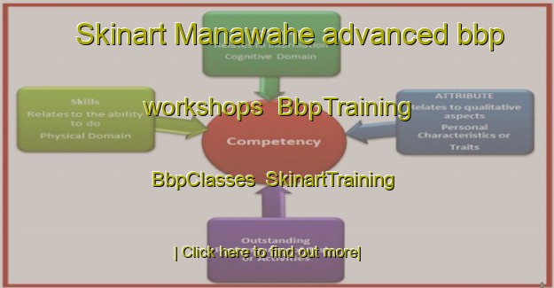 Skinart Manawahe advanced bbp workshops | BbpTraining | BbpClasses | SkinartTraining-New Zealand