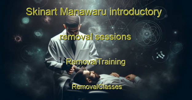 Skinart Manawaru introductory removal sessions | RemovalTraining | RemovalClasses | SkinartTraining-New Zealand