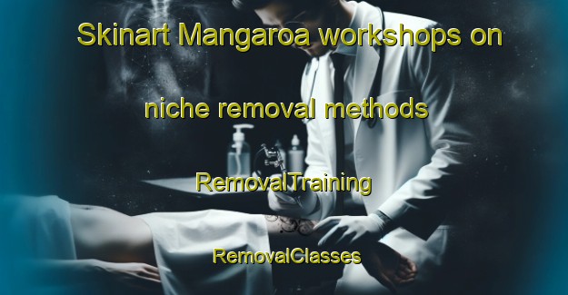Skinart Mangaroa workshops on niche removal methods | RemovalTraining | RemovalClasses | SkinartTraining-New Zealand