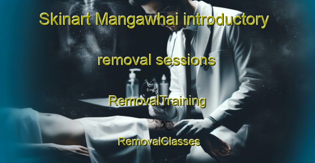 Skinart Mangawhai introductory removal sessions | RemovalTraining | RemovalClasses | SkinartTraining-New Zealand