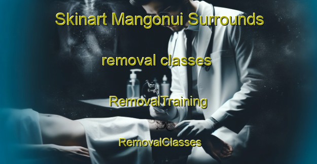 Skinart Mangonui Surrounds removal classes | RemovalTraining | RemovalClasses | SkinartTraining-New Zealand