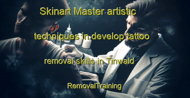 Skinart Master artistic techniques in develop tattoo removal skills in Tinwald | RemovalTraining | RemovalClasses | SkinartTraining-New Zealand