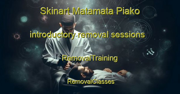 Skinart Matamata Piako introductory removal sessions | RemovalTraining | RemovalClasses | SkinartTraining-New Zealand