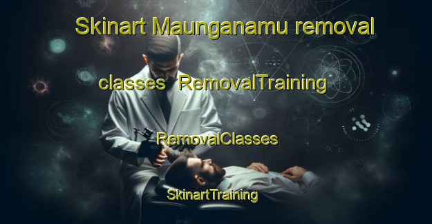 Skinart Maunganamu removal classes | RemovalTraining | RemovalClasses | SkinartTraining-New Zealand
