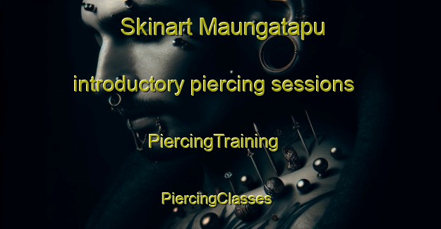 Skinart Maungatapu introductory piercing sessions | PiercingTraining | PiercingClasses | SkinartTraining-New Zealand
