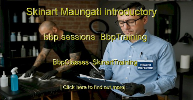 Skinart Maungati introductory bbp sessions | BbpTraining | BbpClasses | SkinartTraining-New Zealand
