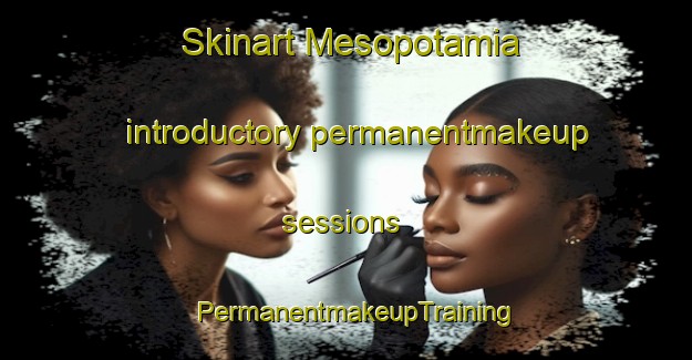 Skinart Mesopotamia introductory permanentmakeup sessions | PermanentmakeupTraining | PermanentmakeupClasses | SkinartTraining-New Zealand