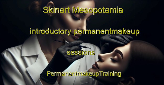 Skinart Mesopotamia introductory permanentmakeup sessions | PermanentmakeupTraining | PermanentmakeupClasses | SkinartTraining-New Zealand