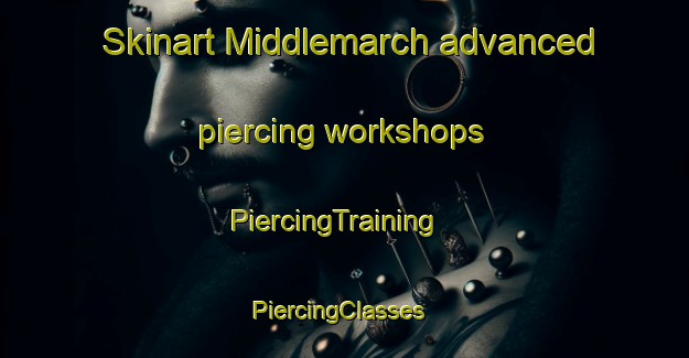 Skinart Middlemarch advanced piercing workshops | PiercingTraining | PiercingClasses | SkinartTraining-New Zealand