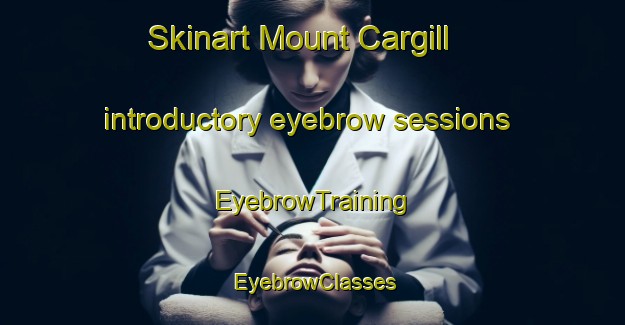 Skinart Mount Cargill introductory eyebrow sessions | EyebrowTraining | EyebrowClasses | SkinartTraining-New Zealand