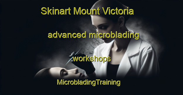 Skinart Mount Victoria advanced microblading workshops | MicrobladingTraining | MicrobladingClasses | SkinartTraining-New Zealand