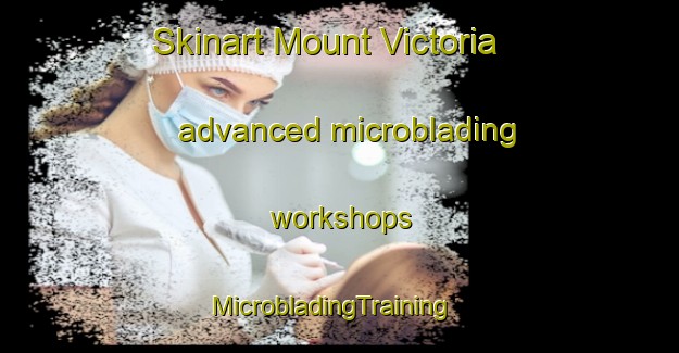 Skinart Mount Victoria advanced microblading workshops | MicrobladingTraining | MicrobladingClasses | SkinartTraining-New Zealand