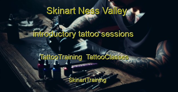 Skinart Ness Valley introductory tattoo sessions | TattooTraining | TattooClasses | SkinartTraining-New Zealand