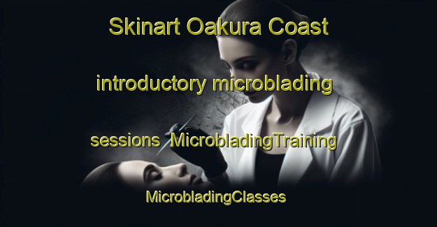 Skinart Oakura Coast introductory microblading sessions | MicrobladingTraining | MicrobladingClasses | SkinartTraining-New Zealand