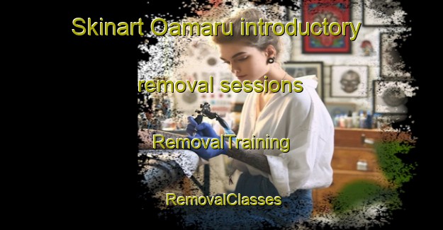 Skinart Oamaru introductory removal sessions | RemovalTraining | RemovalClasses | SkinartTraining-New Zealand