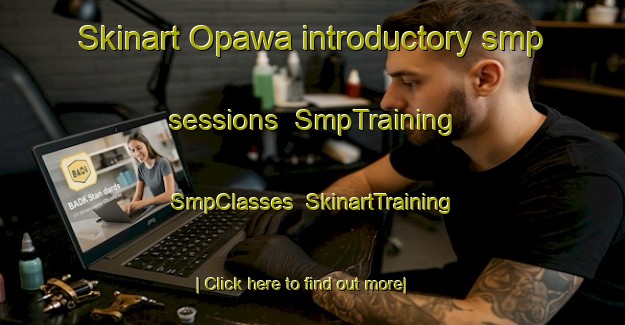 Skinart Opawa introductory smp sessions | SmpTraining | SmpClasses | SkinartTraining-New Zealand