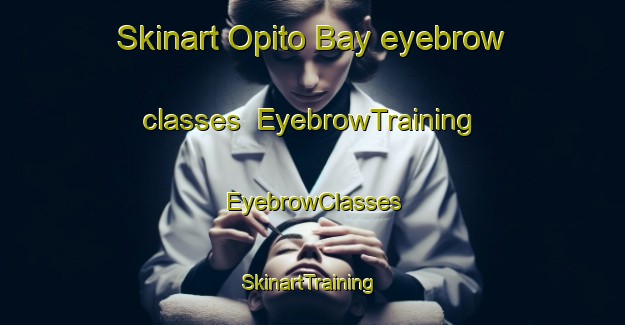 Skinart Opito Bay eyebrow classes | EyebrowTraining | EyebrowClasses | SkinartTraining-New Zealand