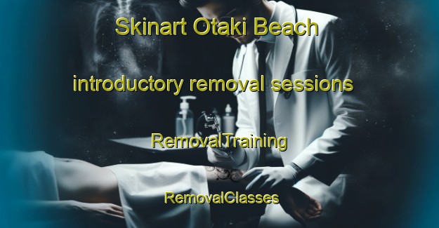 Skinart Otaki Beach introductory removal sessions | RemovalTraining | RemovalClasses | SkinartTraining-New Zealand