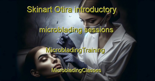 Skinart Otira introductory microblading sessions | MicrobladingTraining | MicrobladingClasses | SkinartTraining-New Zealand