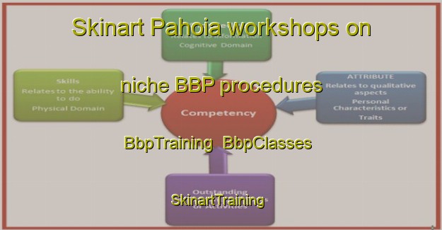 Skinart Pahoia workshops on niche BBP procedures | BbpTraining | BbpClasses | SkinartTraining-New Zealand