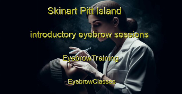Skinart Pitt Island introductory eyebrow sessions | EyebrowTraining | EyebrowClasses | SkinartTraining-New Zealand