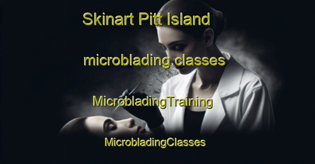 Skinart Pitt Island microblading classes | MicrobladingTraining | MicrobladingClasses | SkinartTraining-New Zealand