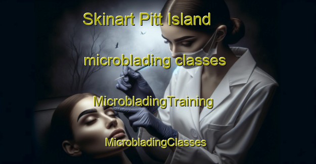 Skinart Pitt Island microblading classes | MicrobladingTraining | MicrobladingClasses | SkinartTraining-New Zealand