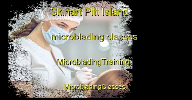 Skinart Pitt Island microblading classes | MicrobladingTraining | MicrobladingClasses | SkinartTraining-New Zealand