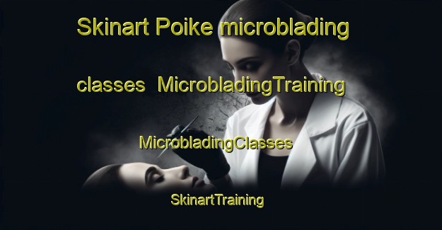 Skinart Poike microblading classes | MicrobladingTraining | MicrobladingClasses | SkinartTraining-New Zealand