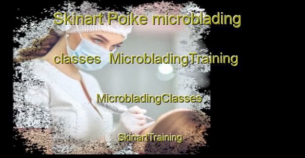 Skinart Poike microblading classes | MicrobladingTraining | MicrobladingClasses | SkinartTraining-New Zealand