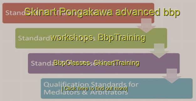 Skinart Pongakawa advanced bbp workshops | BbpTraining | BbpClasses | SkinartTraining-New Zealand