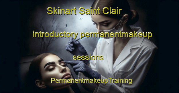 Skinart Saint Clair introductory permanentmakeup sessions | PermanentmakeupTraining | PermanentmakeupClasses | SkinartTraining-New Zealand