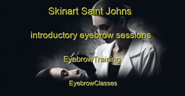 Skinart Saint Johns introductory eyebrow sessions | EyebrowTraining | EyebrowClasses | SkinartTraining-New Zealand