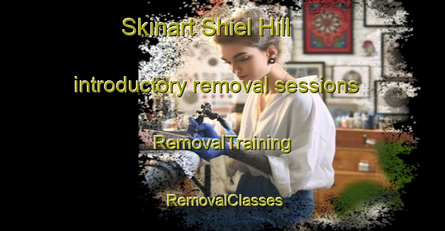 Skinart Shiel Hill introductory removal sessions | RemovalTraining | RemovalClasses | SkinartTraining-New Zealand