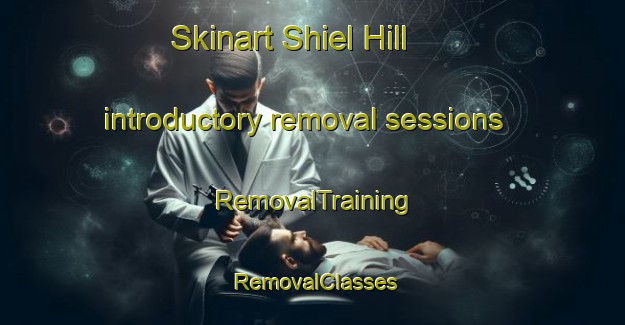 Skinart Shiel Hill introductory removal sessions | RemovalTraining | RemovalClasses | SkinartTraining-New Zealand