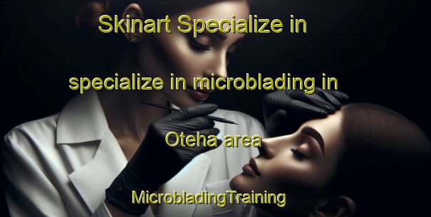 Skinart Specialize in specialize in microblading in Oteha area | MicrobladingTraining | MicrobladingClasses | SkinartTraining-New Zealand