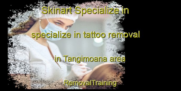 Skinart Specialize in specialize in tattoo removal in Tangimoana area | RemovalTraining | RemovalClasses | SkinartTraining-New Zealand