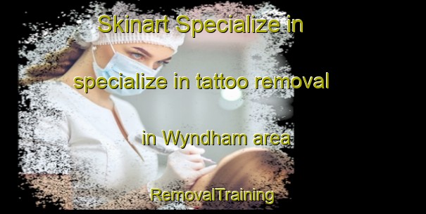 Skinart Specialize in specialize in tattoo removal in Wyndham area | RemovalTraining | RemovalClasses | SkinartTraining-New Zealand