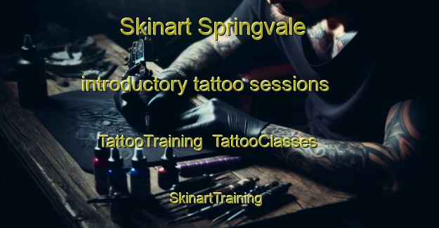Skinart Springvale introductory tattoo sessions | TattooTraining | TattooClasses | SkinartTraining-New Zealand