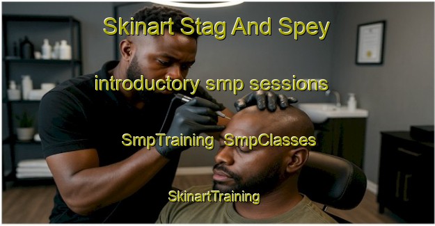 Skinart Stag And Spey introductory smp sessions | SmpTraining | SmpClasses | SkinartTraining-New Zealand