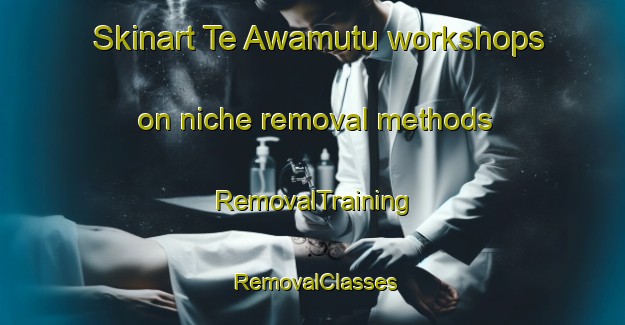 Skinart Te Awamutu workshops on niche removal methods | RemovalTraining | RemovalClasses | SkinartTraining-New Zealand