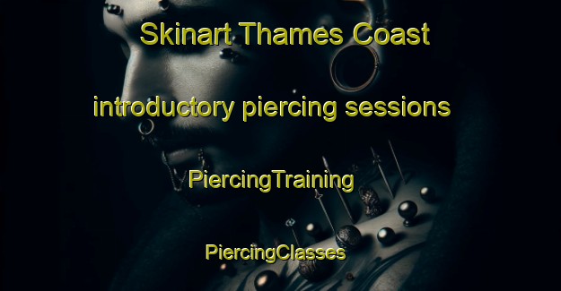 Skinart Thames Coast introductory piercing sessions | PiercingTraining | PiercingClasses | SkinartTraining-New Zealand